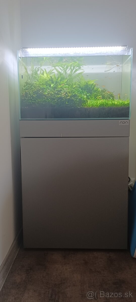 Predám akvarium 60 litr, optiwhite