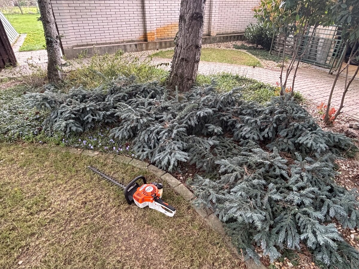 Odstraňovanie tují, úprava záhrad a živých plotov, kosenie