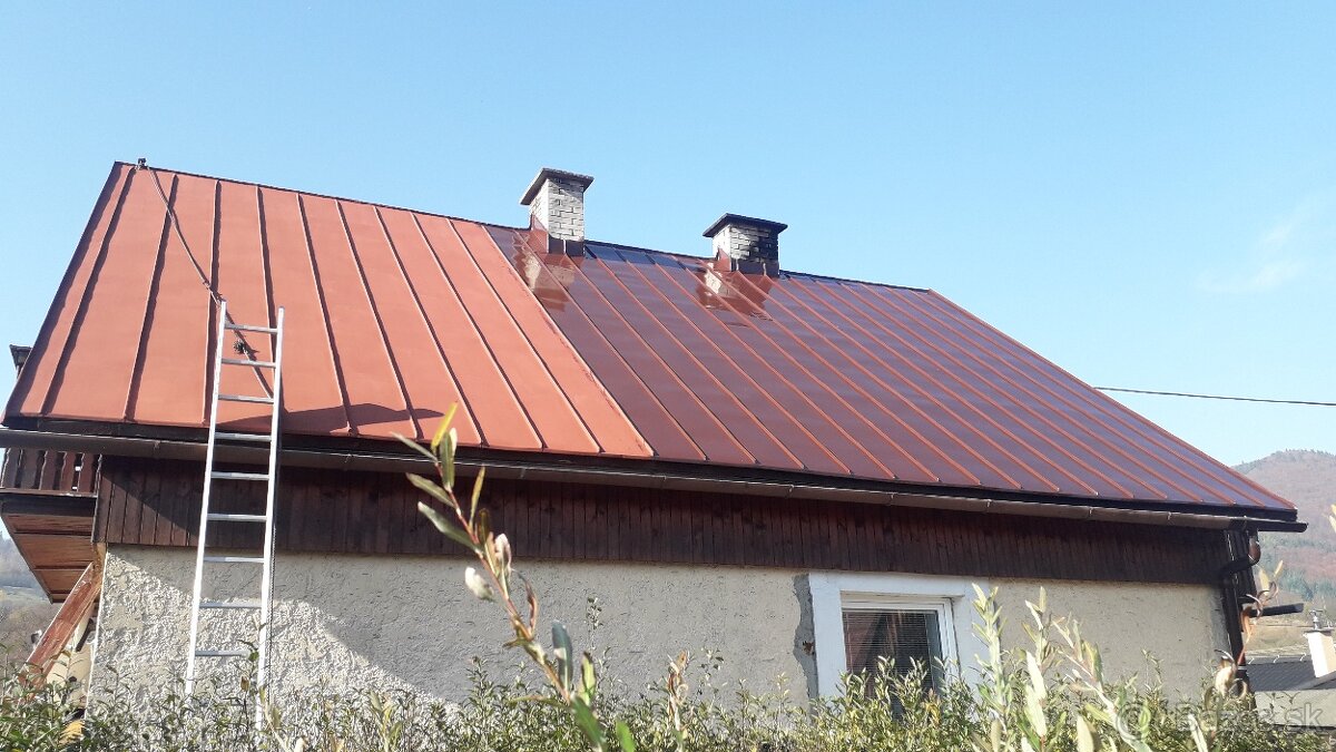 ✅️✅️✅️Maľovanie striech natieranie nátery N15
