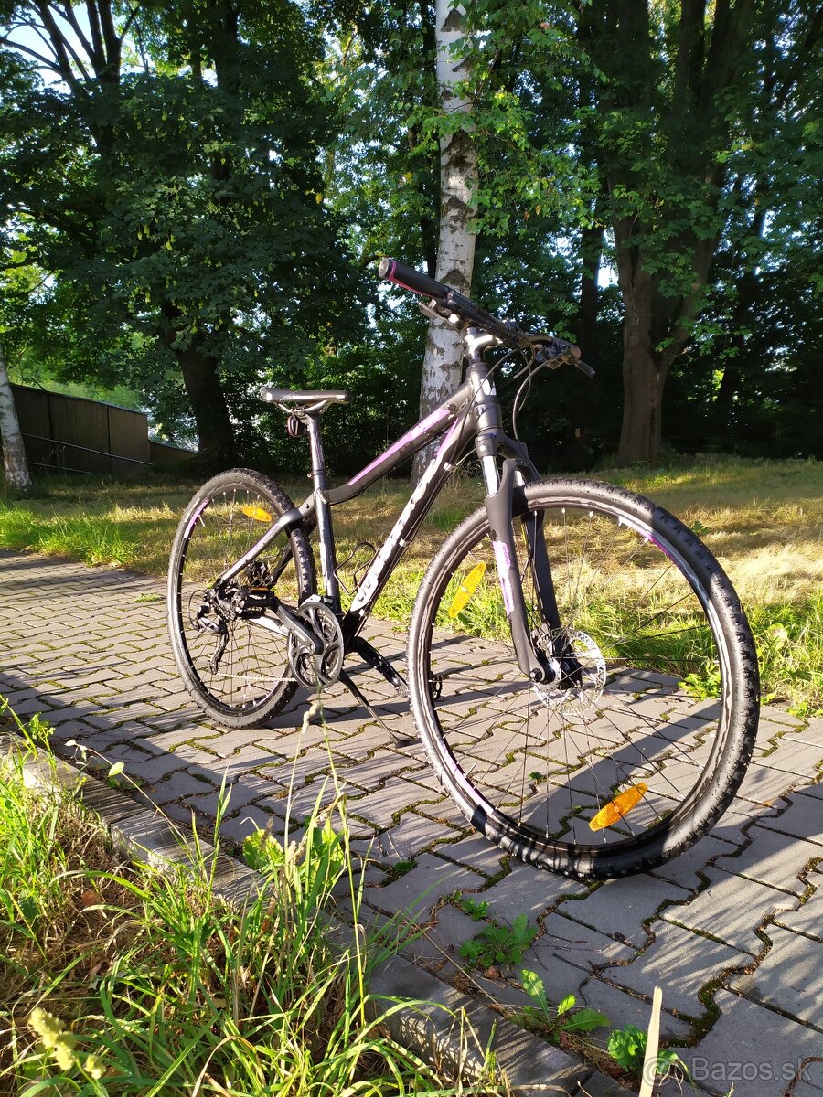 Prodám bicykle Roce Liv
