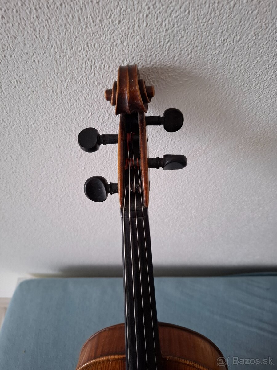 Housle josephus Múeller