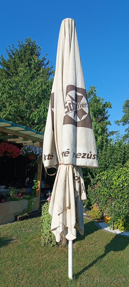 Slnečník