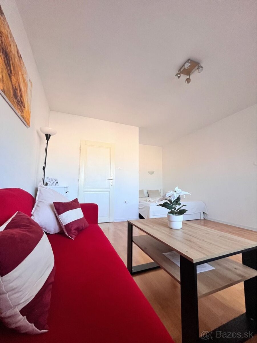 TREEF ponúka na prenájom útulný 1-izbový byt