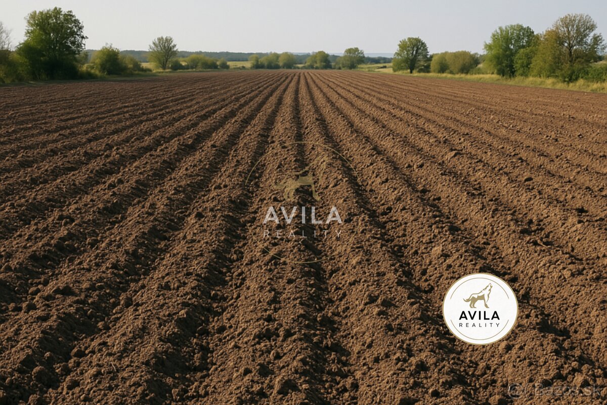 Na predaj pôda 25950 m2 Horné Saliby