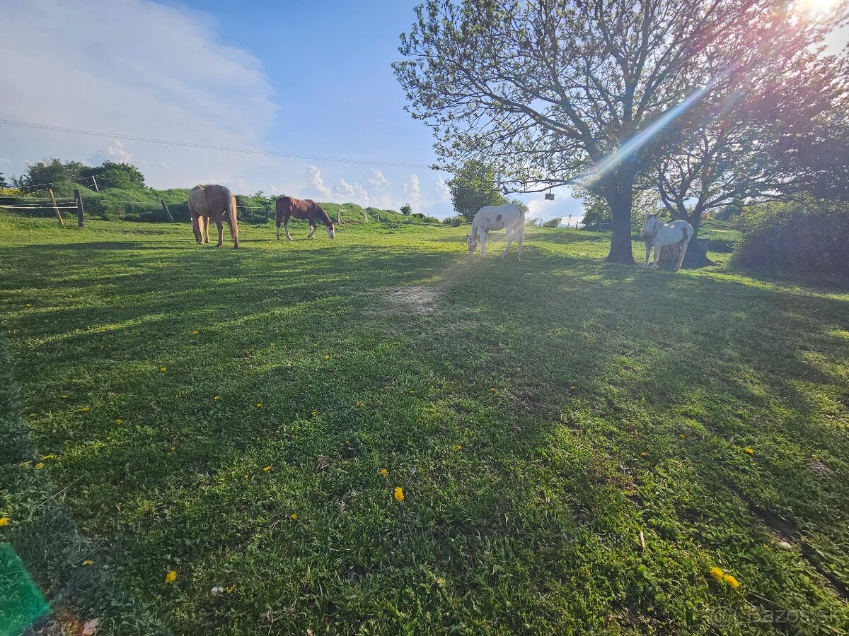 Ustajnenie Malé Karpaty
