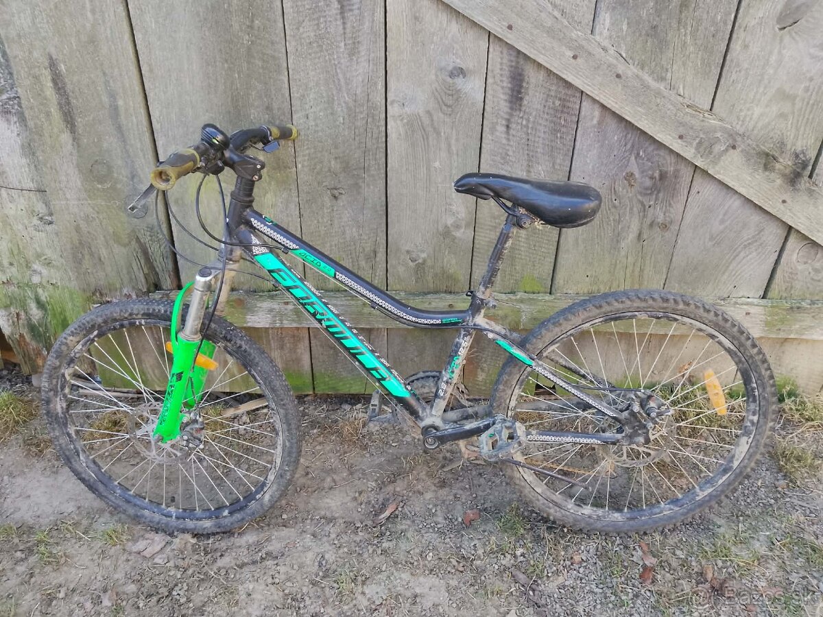 Bicykel Formula zelený