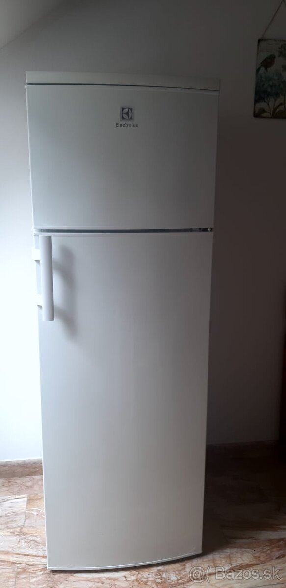 Chladnička s mrazničkou Electrolux CT 280 - málo používaná