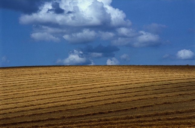 Prodej orné půdy Dolné Slažany