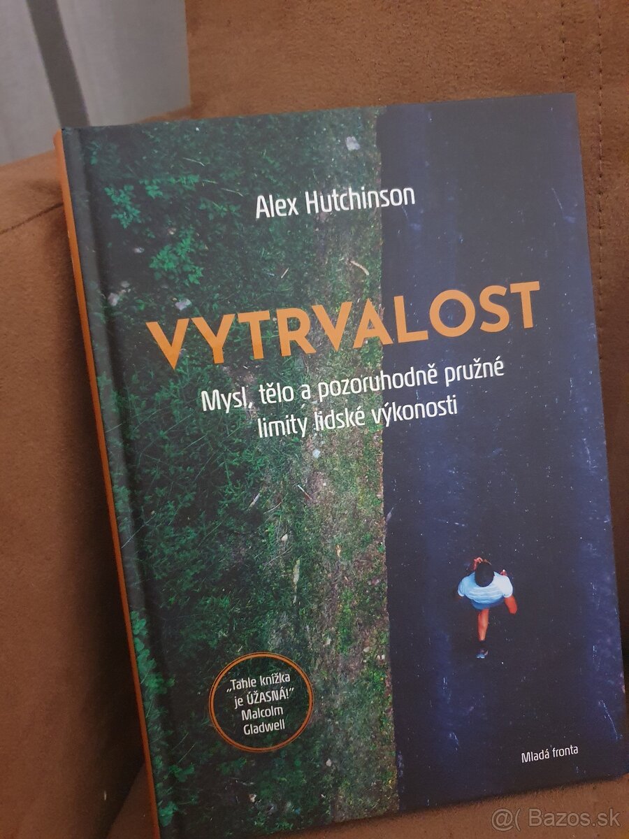 Vytrvalost
