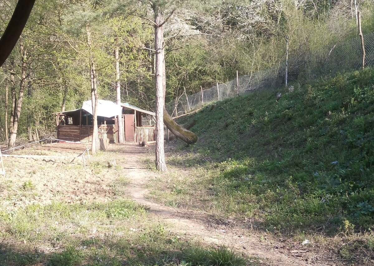 Ponúkame vám na predaj pozemok v katastri obce Banka