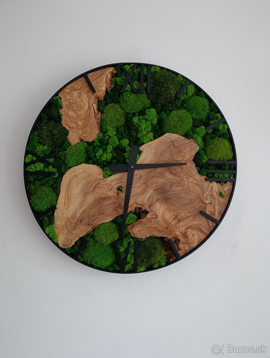 Machové hodiny OLIVA