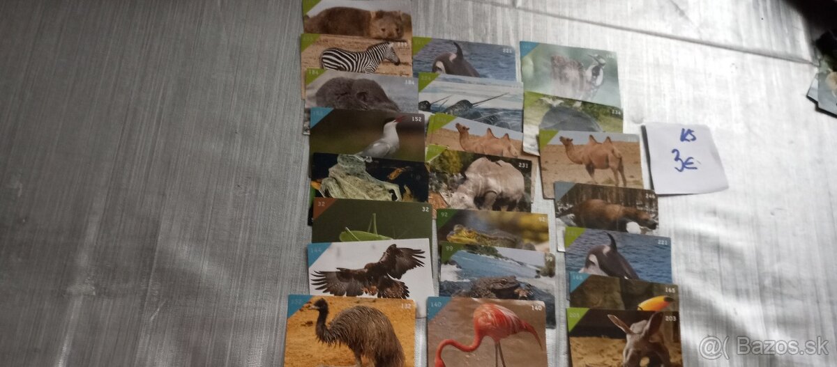 Animal Kingdom nálepky /NEW