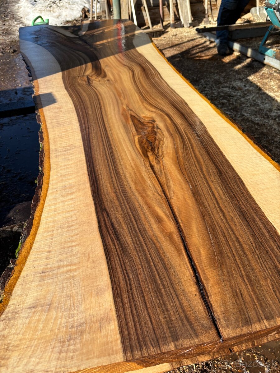 Rezivo Orech Orechové Drevo Kmene