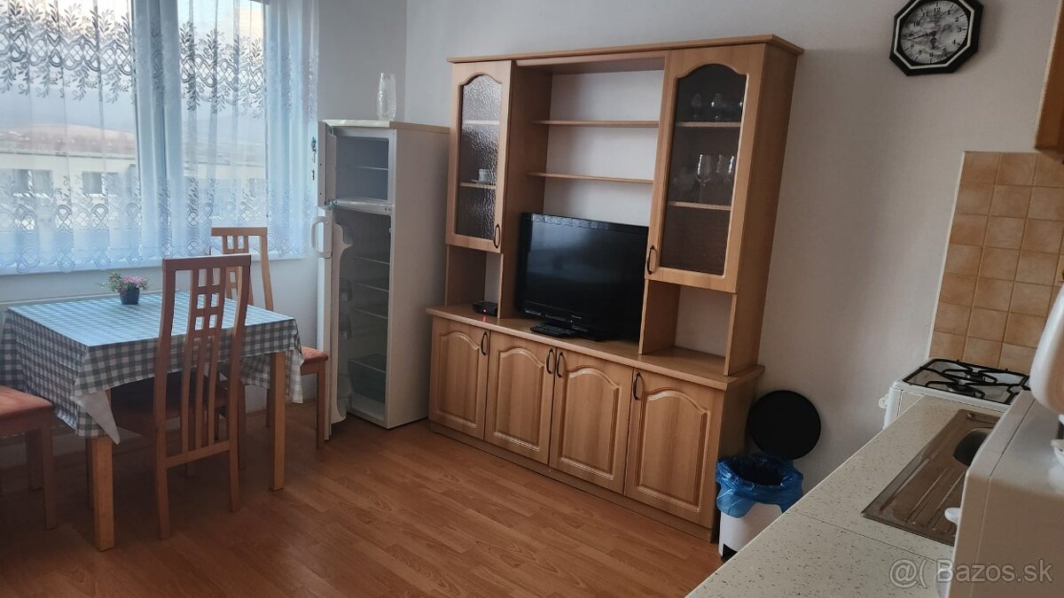 Prenajmem 1 izbový byt