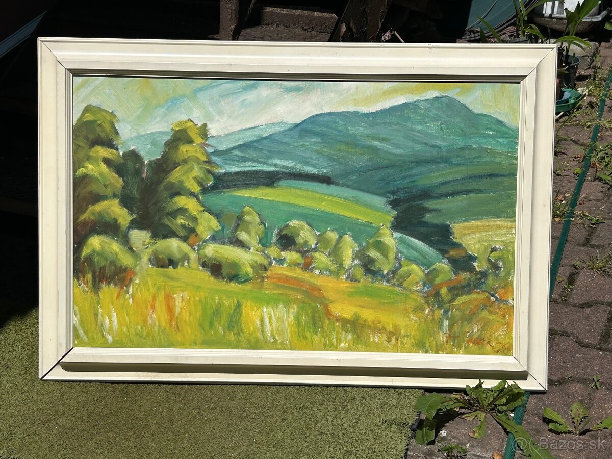 Obraz krajina