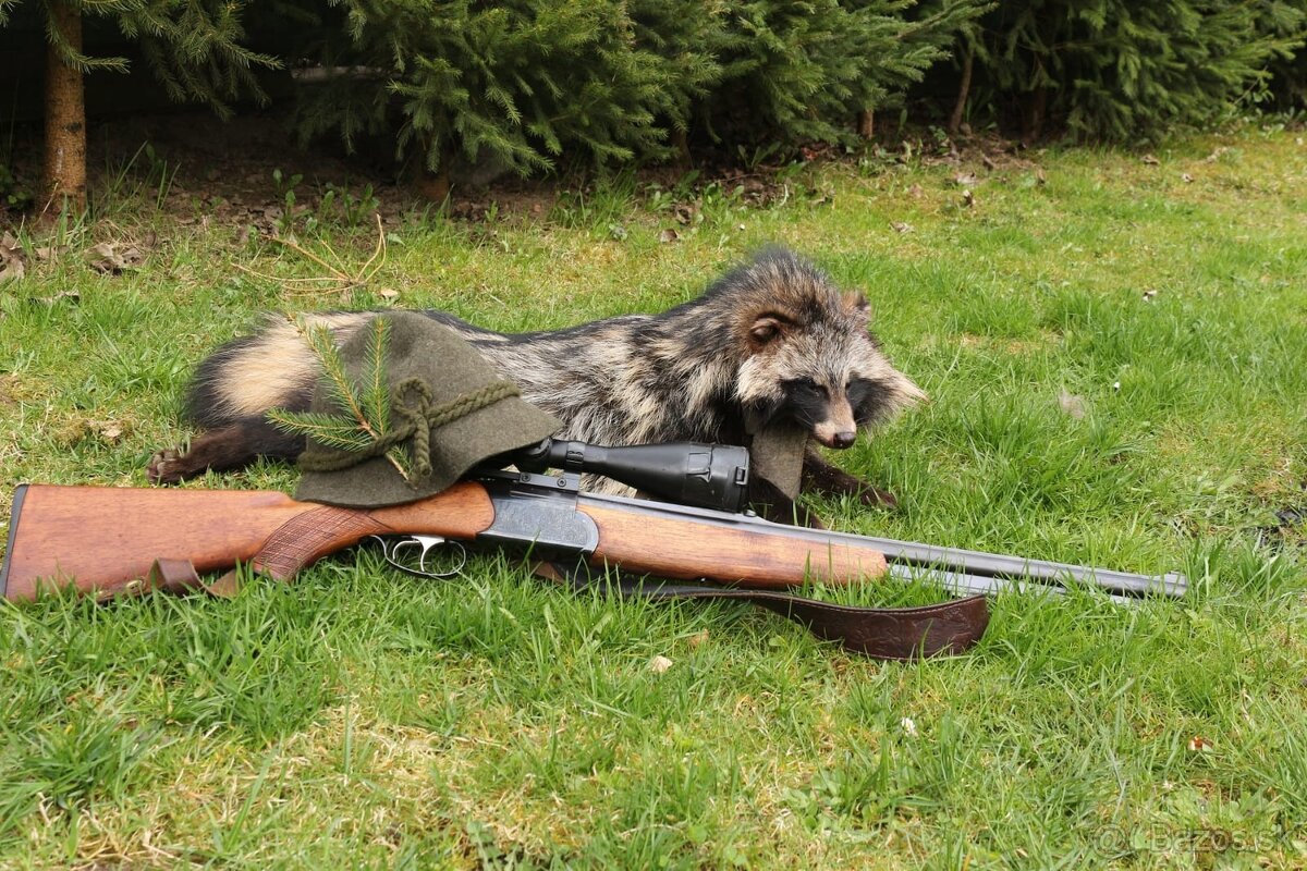 Gulobrokova kozlica 222rem/12