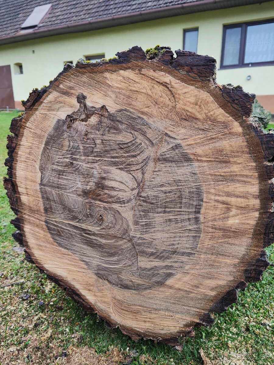 Predám kmene z čerstvo spíleneho stromu
