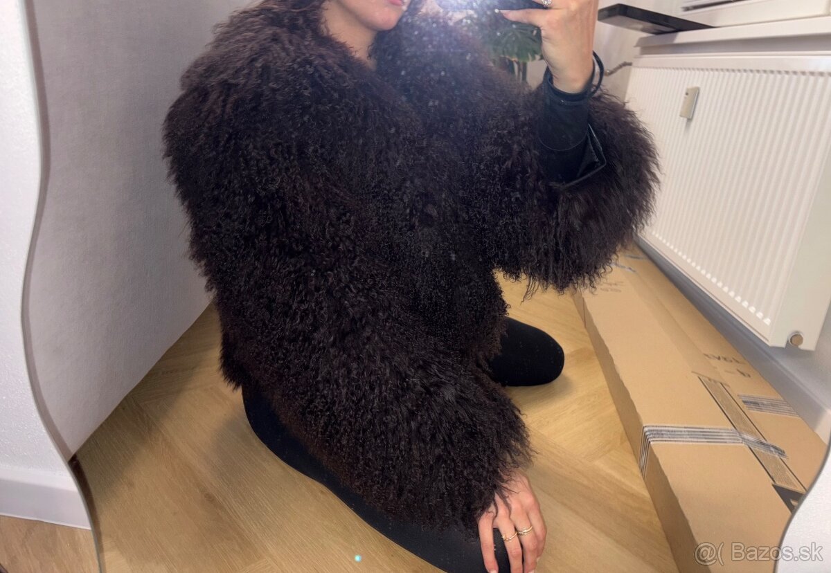 Kožuch z mongolskej ovce, mongolská ovca