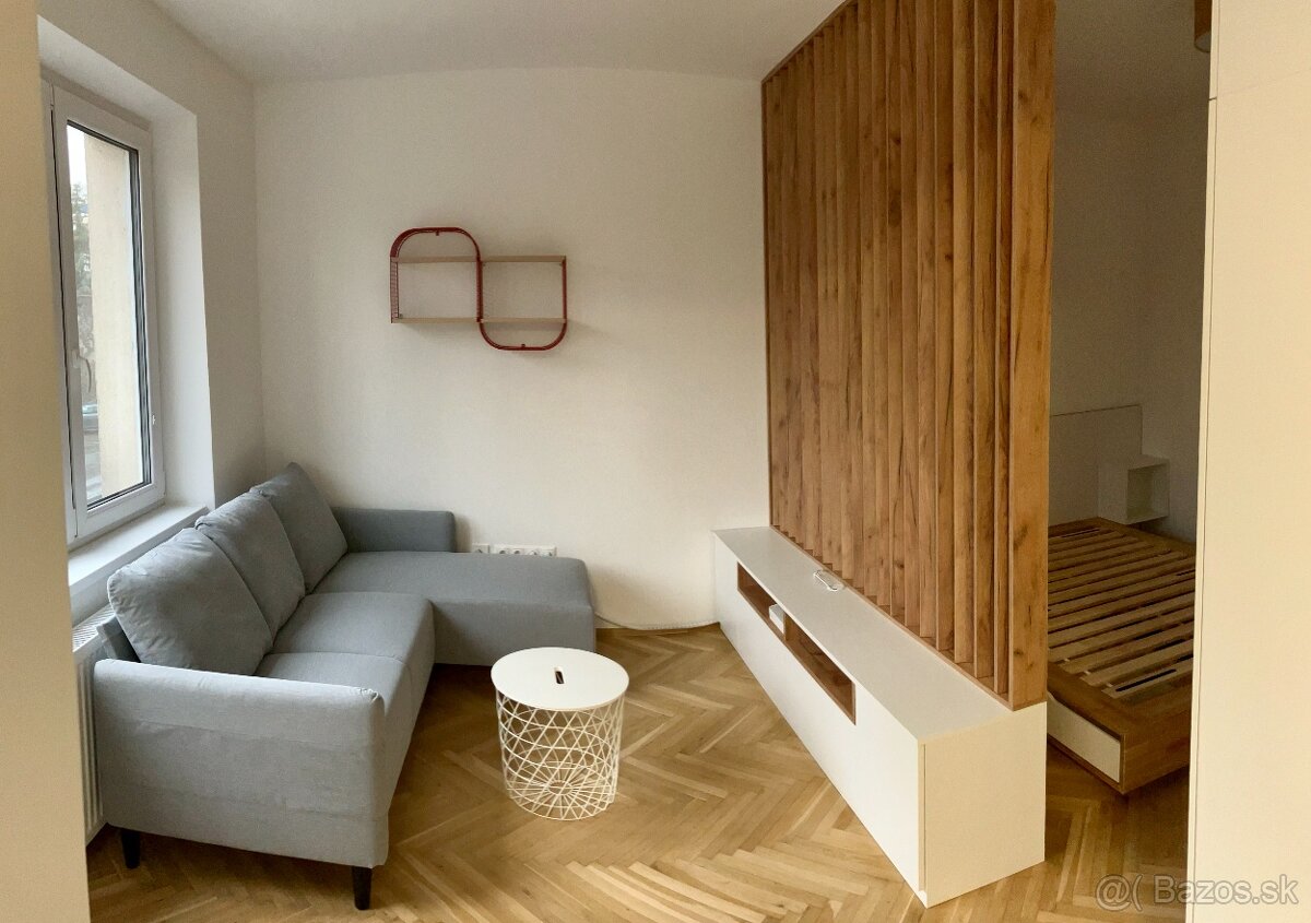 Prenajom 1-izboveho bytu ZV-centrum