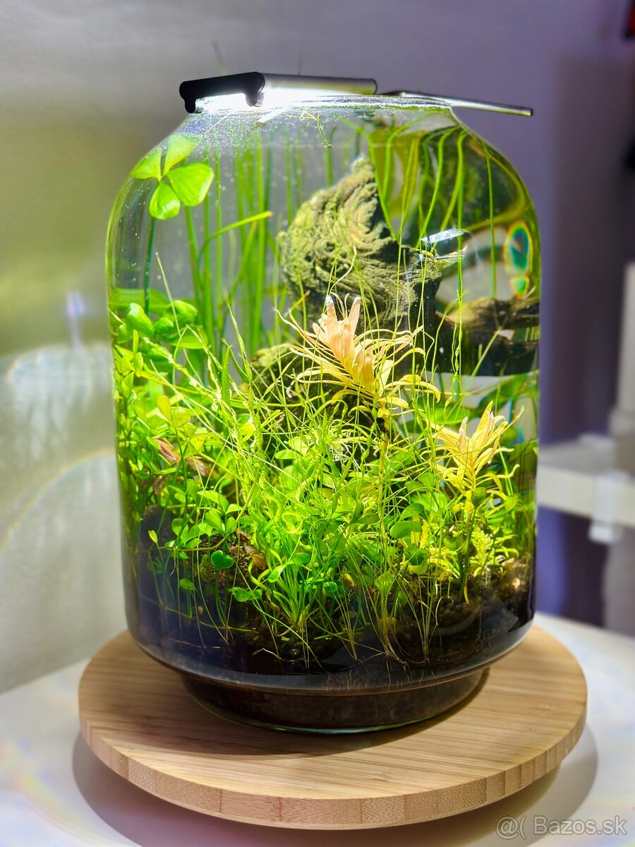 Mini akvarium 10l