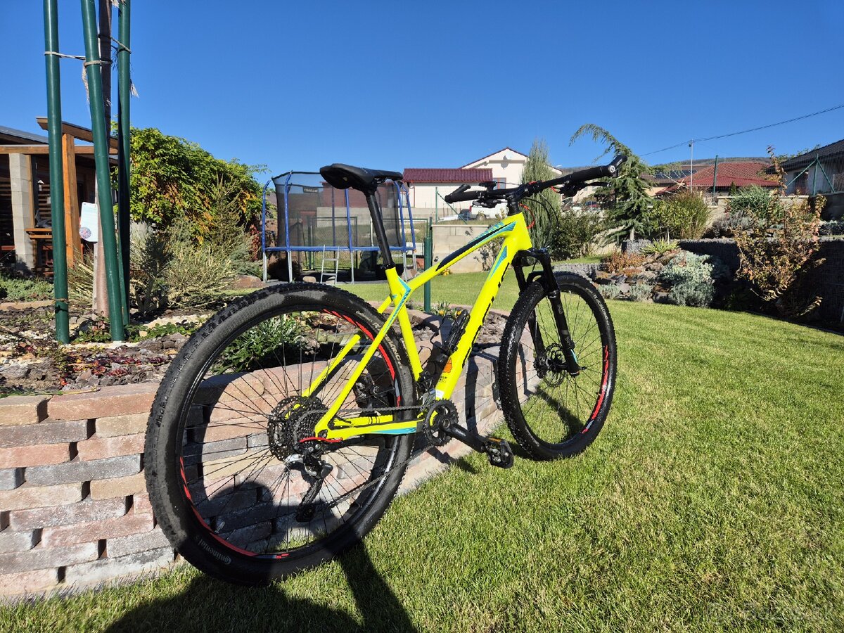 Bike Focus Raven Elite Carbon 29" L