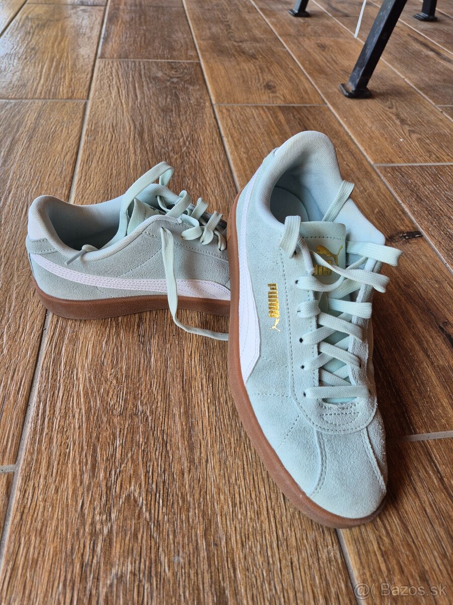Puma