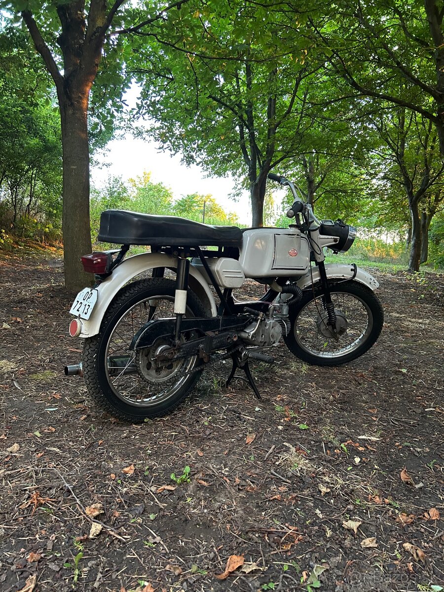 Jawa mustang