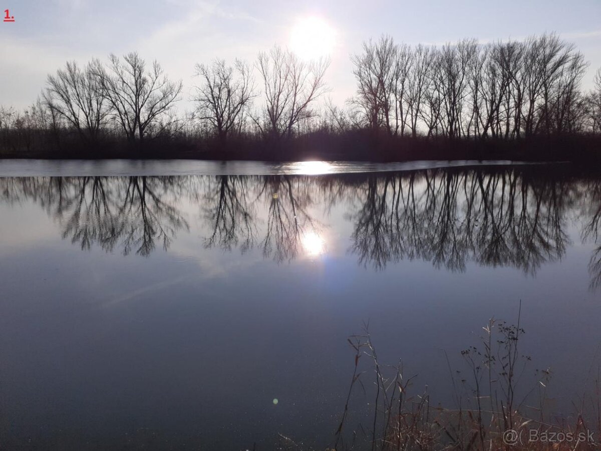 Predaj rovinatý pozemok pri jazere Nitra - Čechynce