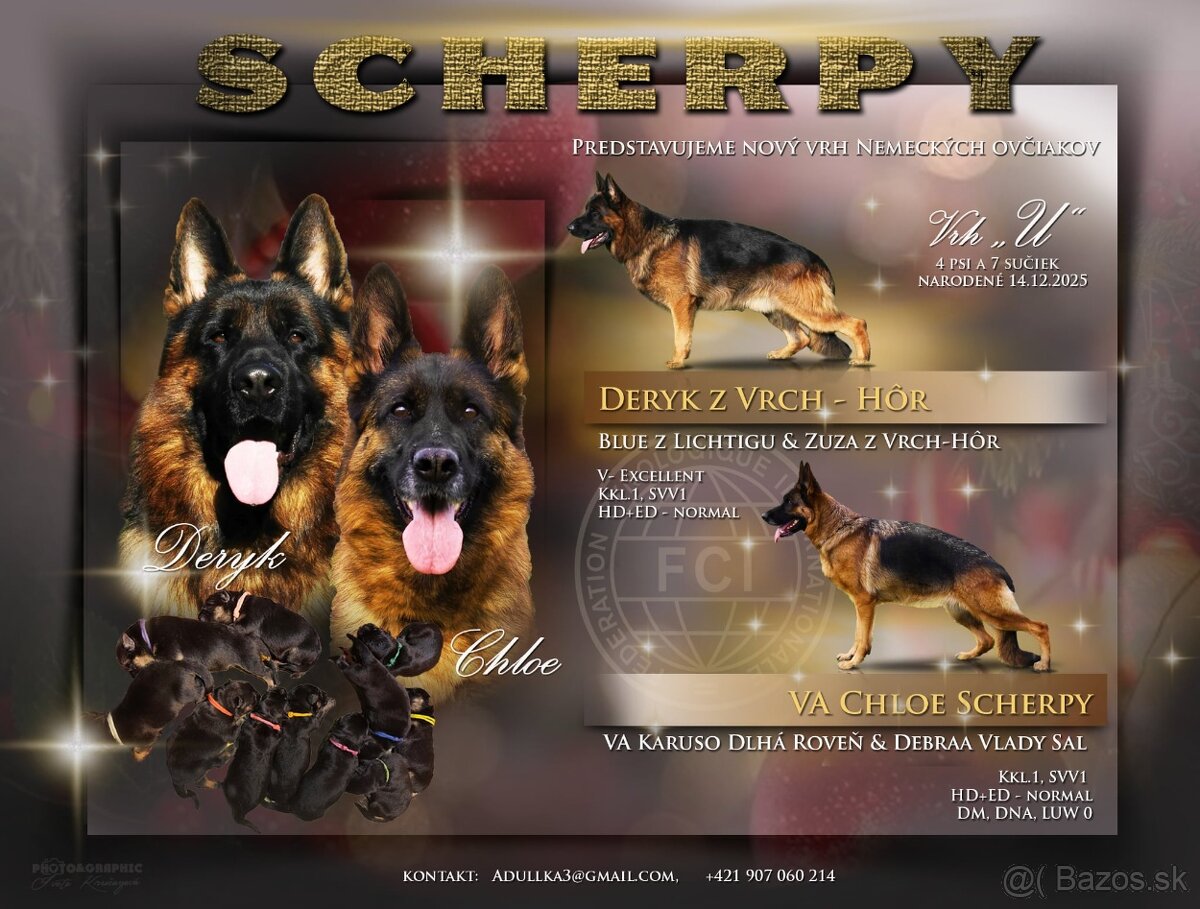 Nemecký ovčiak šteniatka