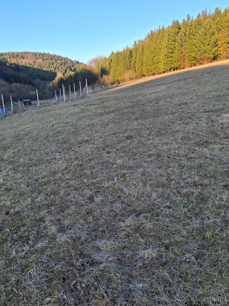 Predaj orná pôda Bodiná 3830 m2