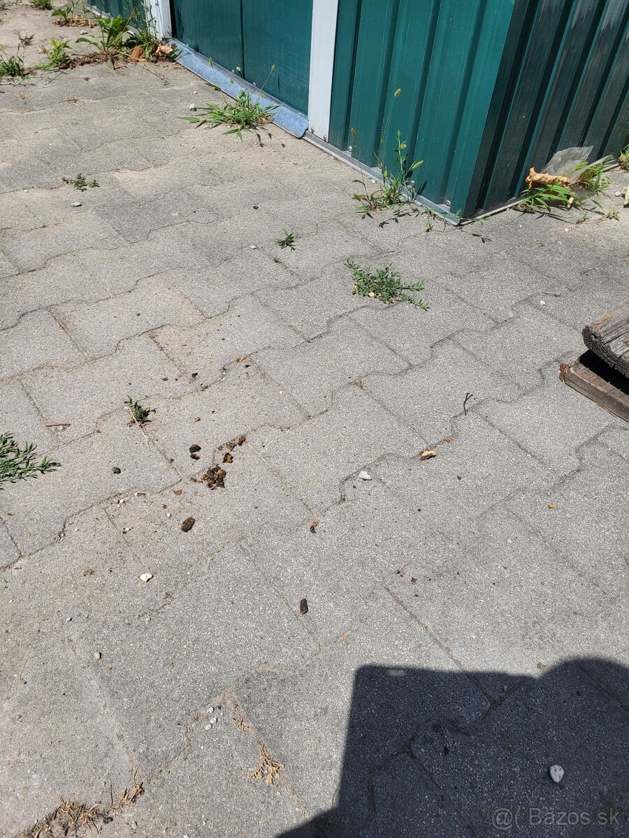 Darujem dlažbu