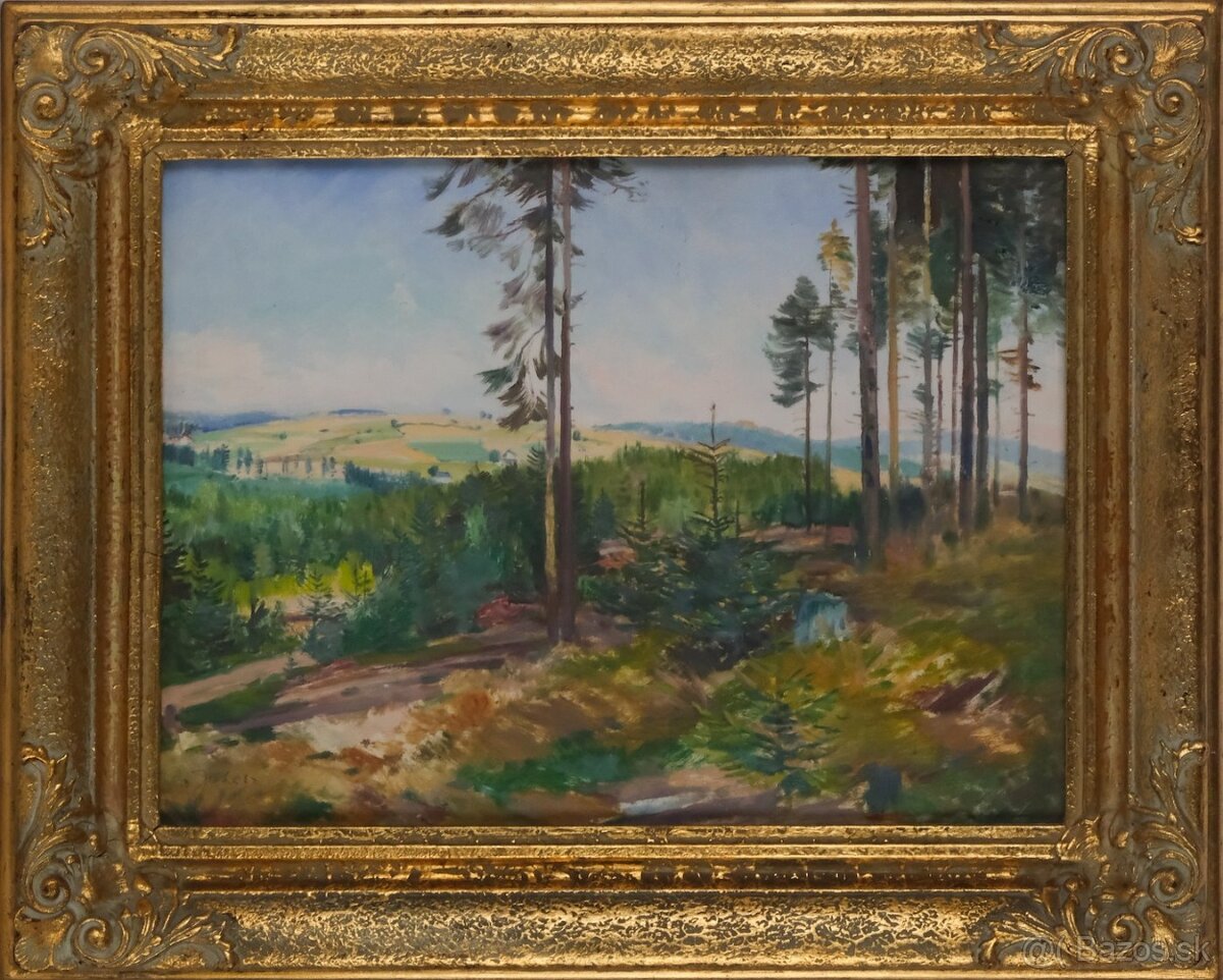 Obraz Václav Knotek-Juhas