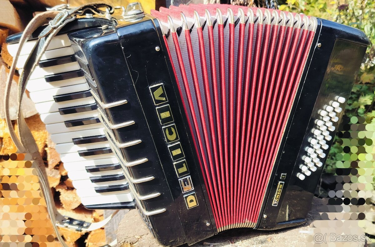 Akordeon Harmonika Delicia Junior