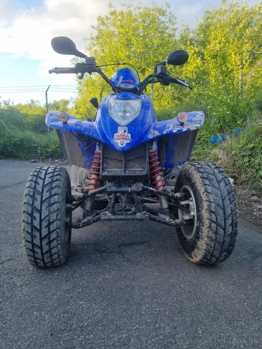 KYMCO KXR 250 SPORT 13KW
