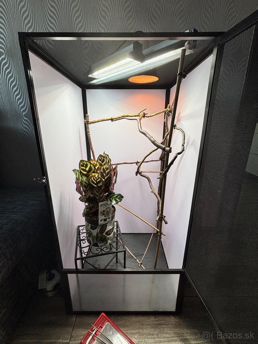 Terarium pre chameleóny