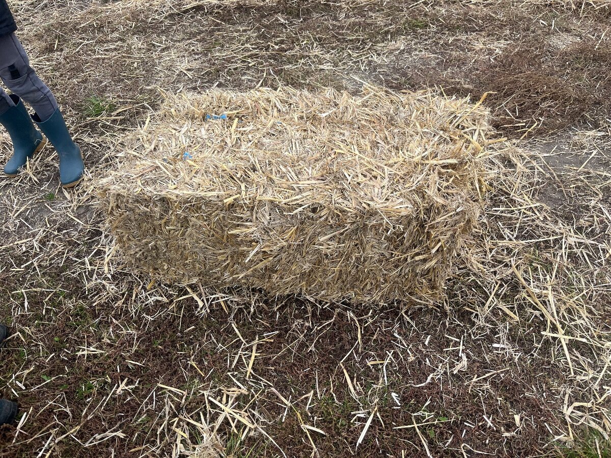 Predam seno male baliky