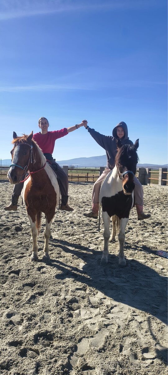 🐎 Jazdenie na koni – Červeny Dvor