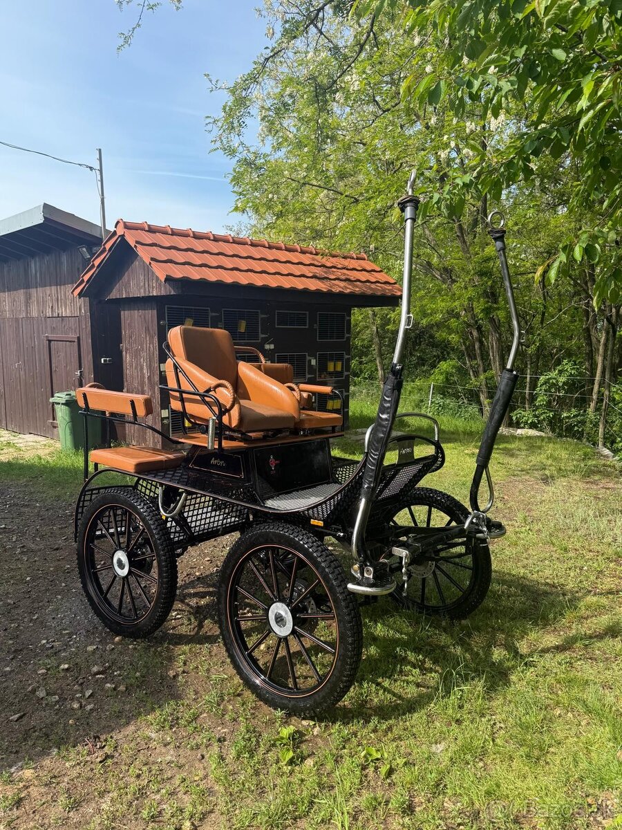 Konský koč, brička Aron