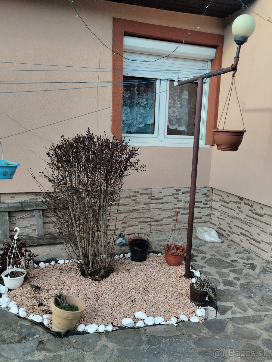 Predam 3 izbovy dom vo Filakove