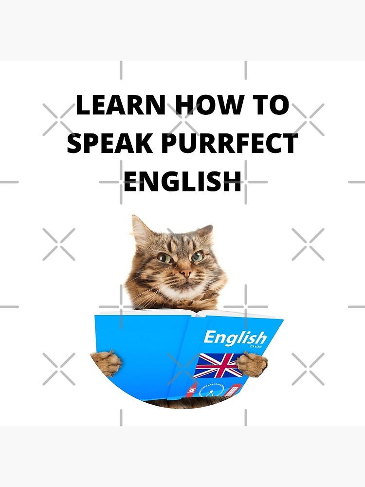 Online lekcie angličtiny