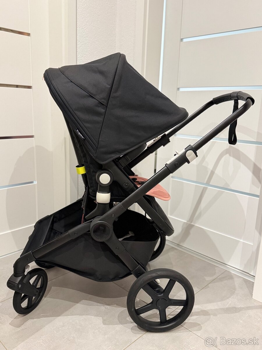 Bugaboo fox cub