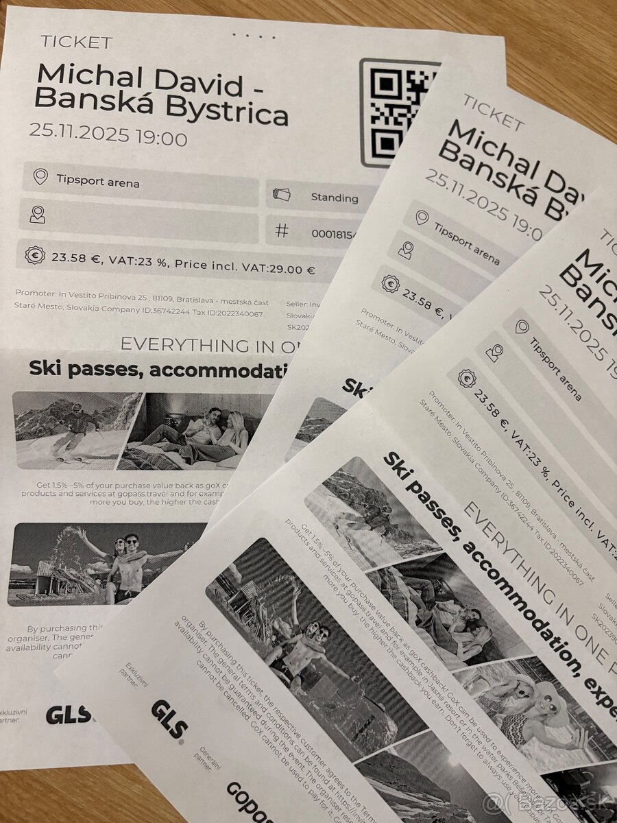 Michal David koncert BB