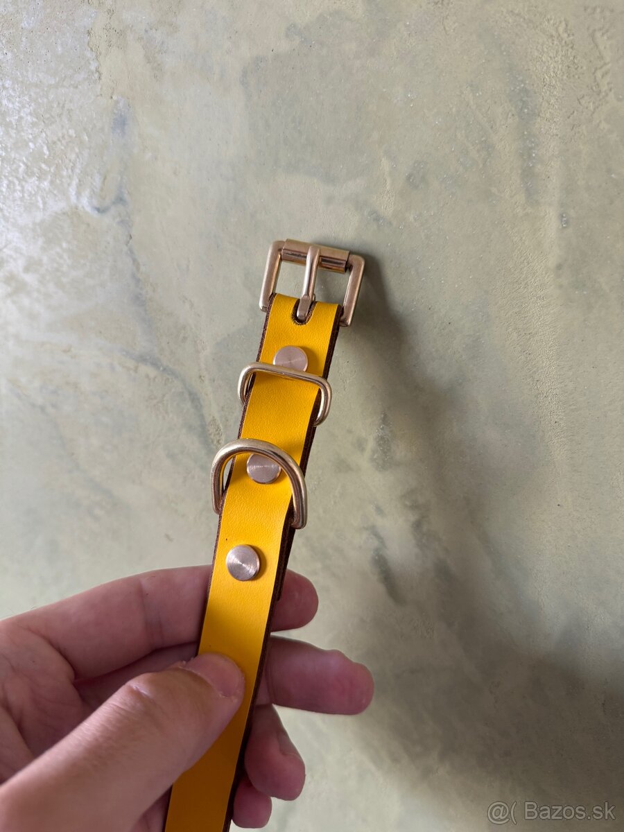 Obojok z pravej kože pre psa