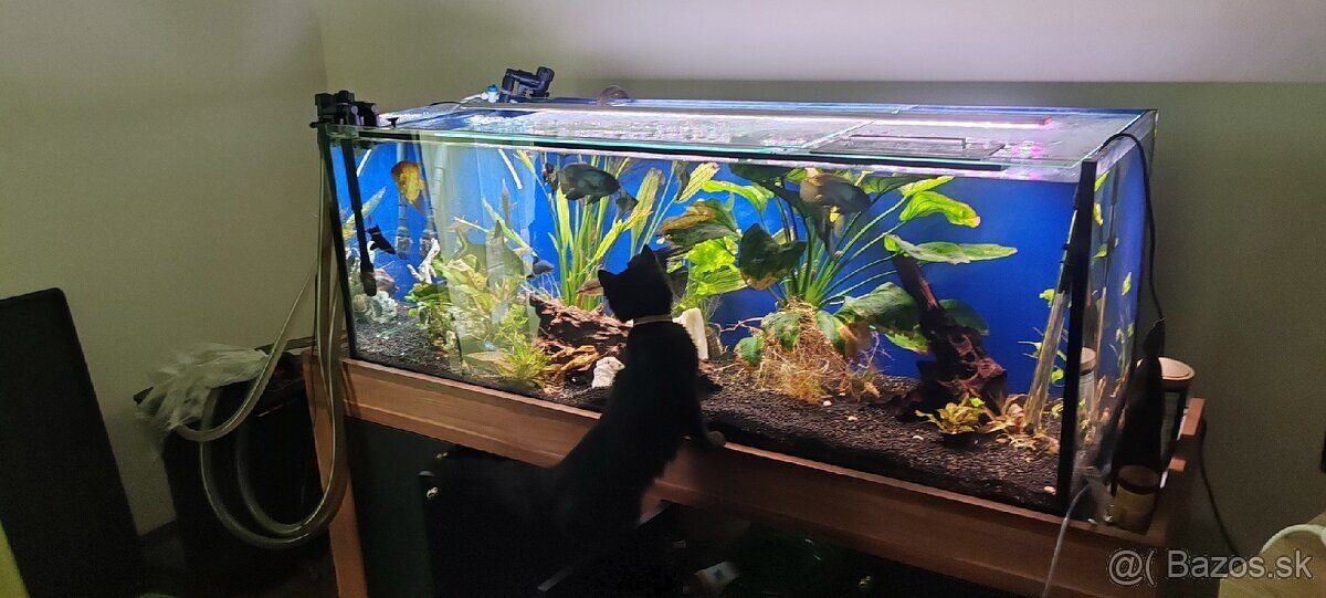 Akvarium 350L plus stolik