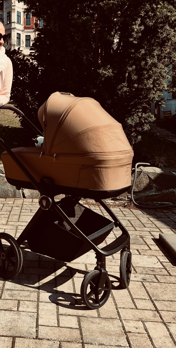 Predam nas kocik aj s vajickom