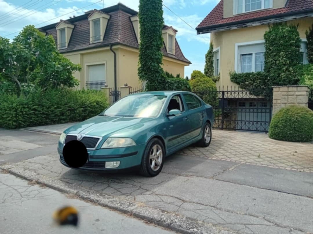Skoda Octavia 1.9Tdi. 77kw bez DPF