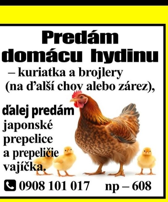 Predám