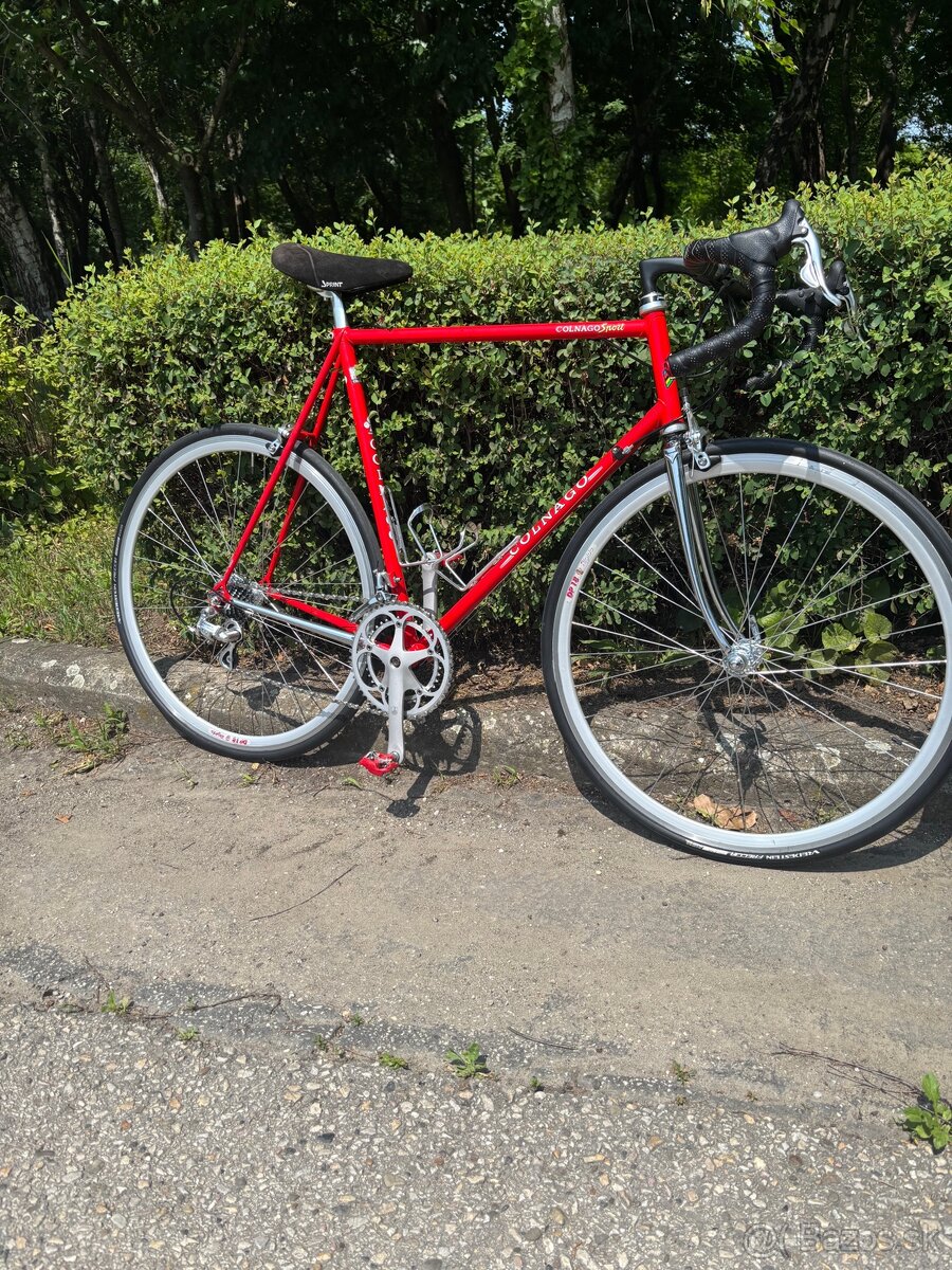 colnago