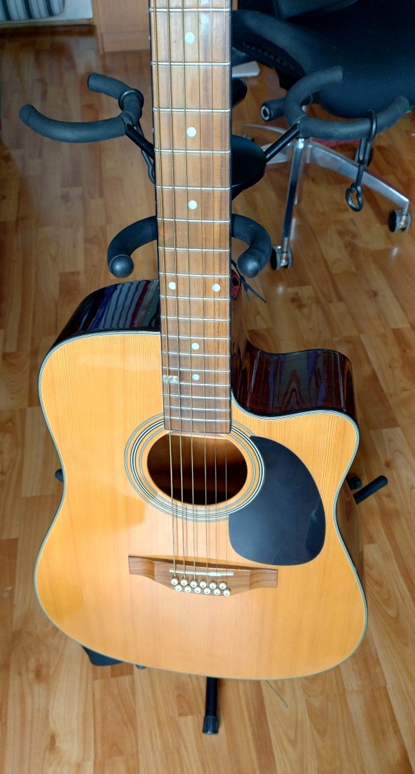 12 strunova gitara Harley Benton HBD-200-12NT