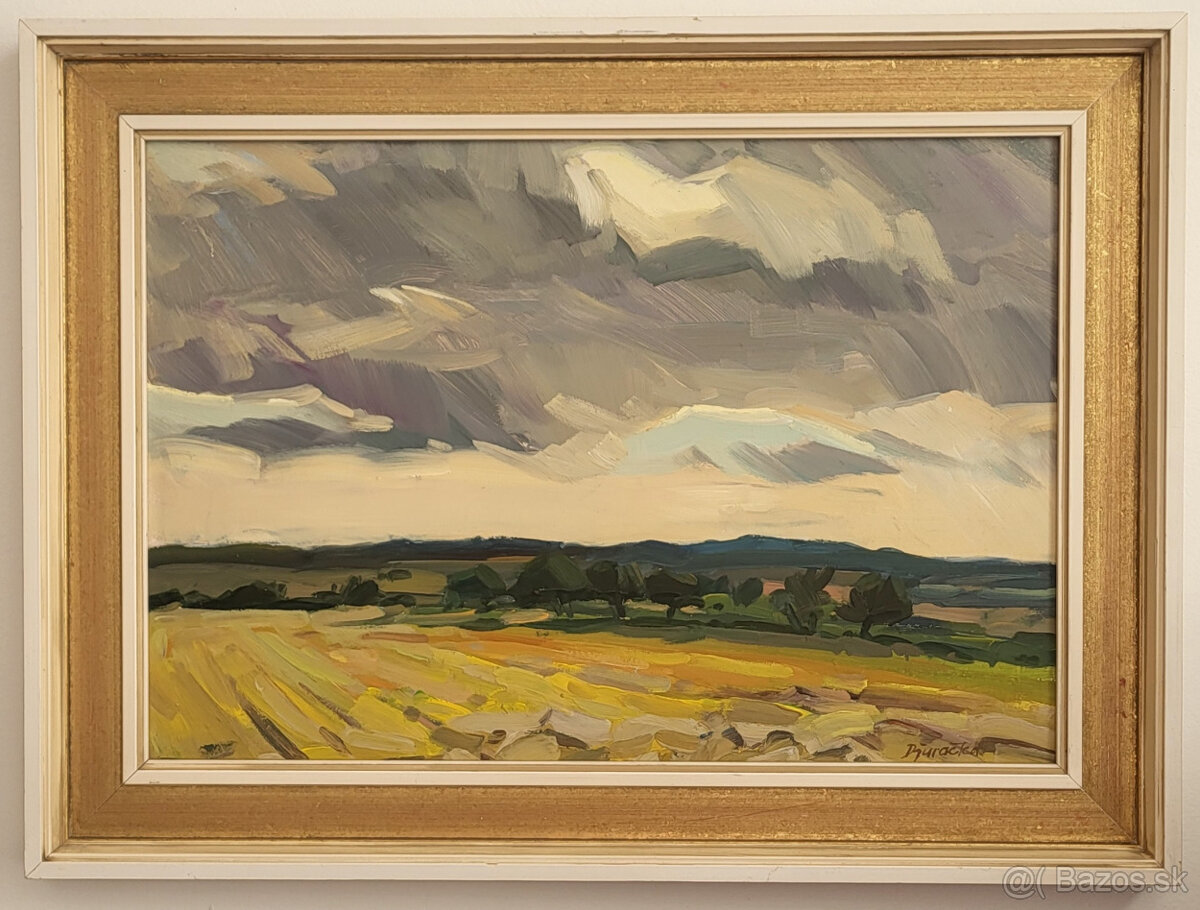 Obraz od autora Martina Djuračku